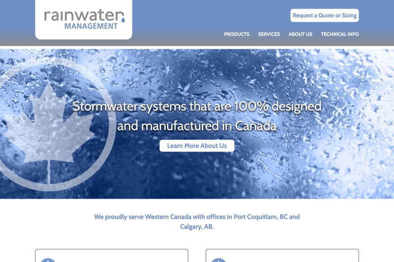 Rainwater's original website, before the rebuild
